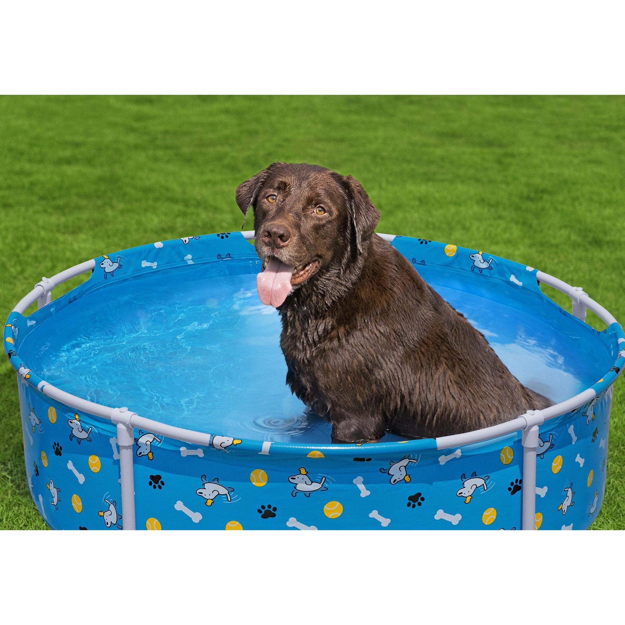 H2OGO! Fetchin' Fun Pet Play Pool - Blue, 48 Dog Splash-Swim-Wade Tub, Bone-Ball- Paw Print, Metal Frame, Tritech Liner, Outdoor Animal Water Play