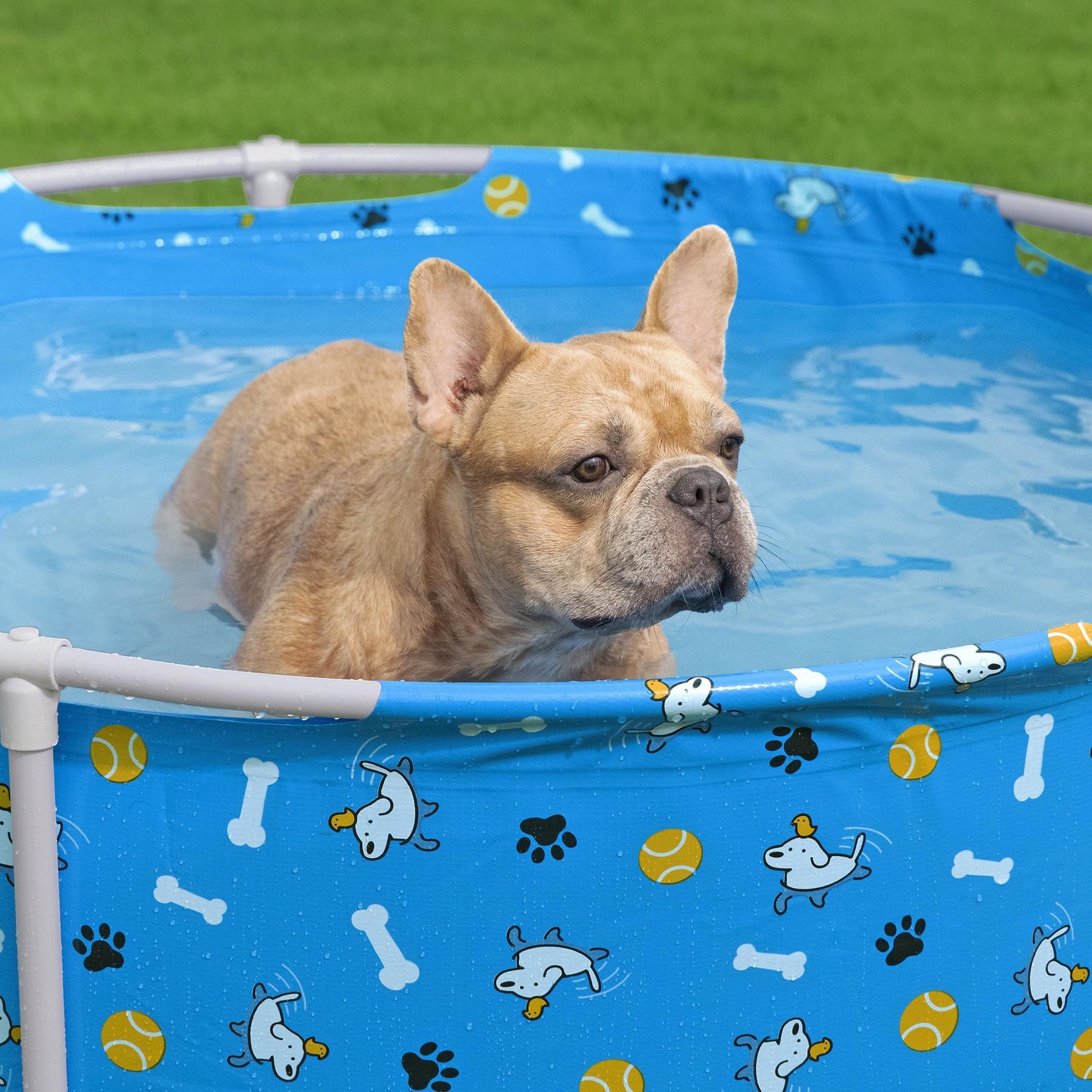 H2OGO! Fetchin' Fun Pet Play Pool - Blue, 48 Dog Splash-Swim-Wade Tub, Bone-Ball- Paw Print, Metal Frame, Tritech Liner, Outdoor Animal Water Play