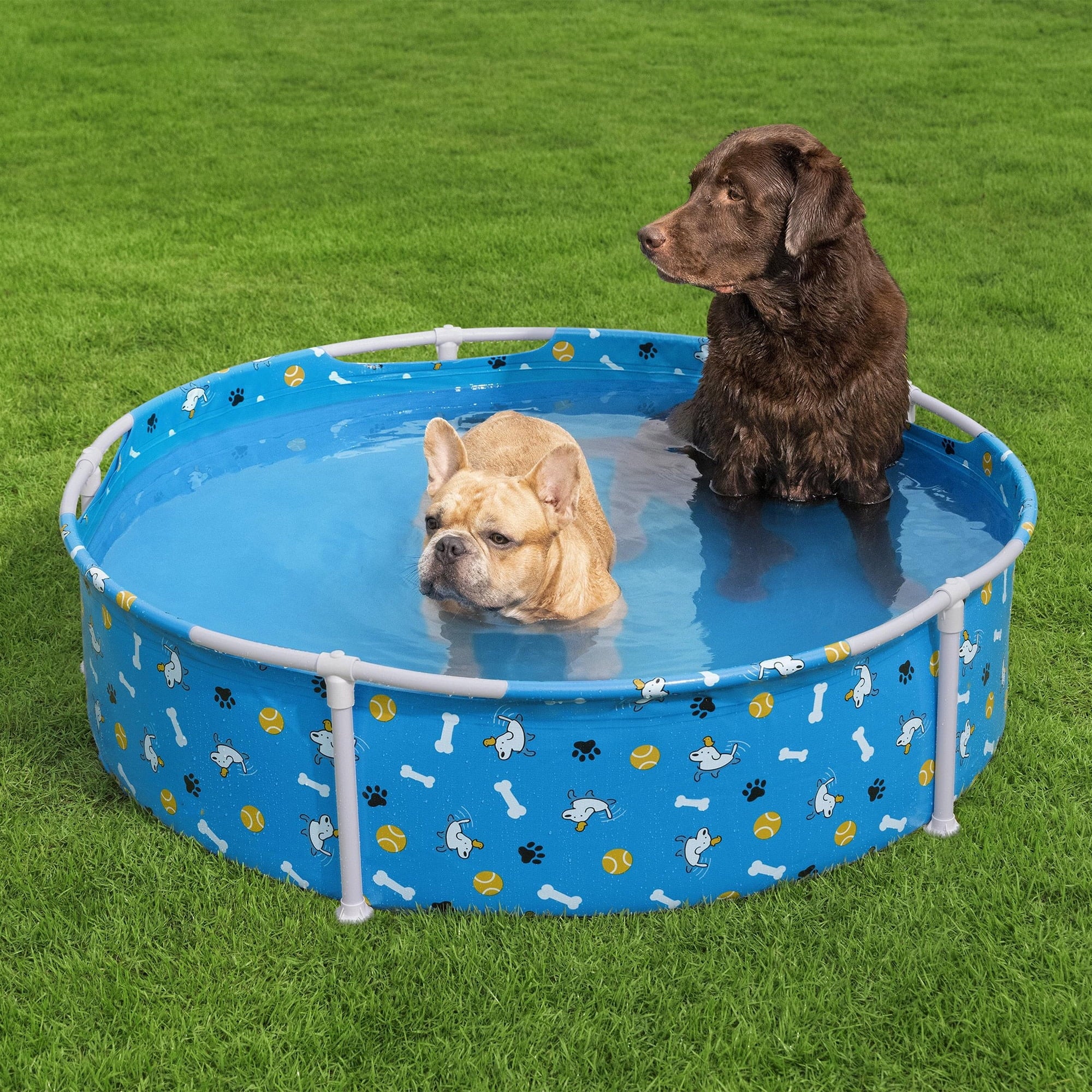 H2OGO! Fetchin' Fun Pet Play Pool - Blue, 48 Dog Splash-Swim-Wade Tub, Bone-Ball- Paw Print, Metal Frame, Tritech Liner, Outdoor Animal Water Play